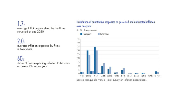 Distribution of quantitative responses on perceived and anticipated inflation over one year
