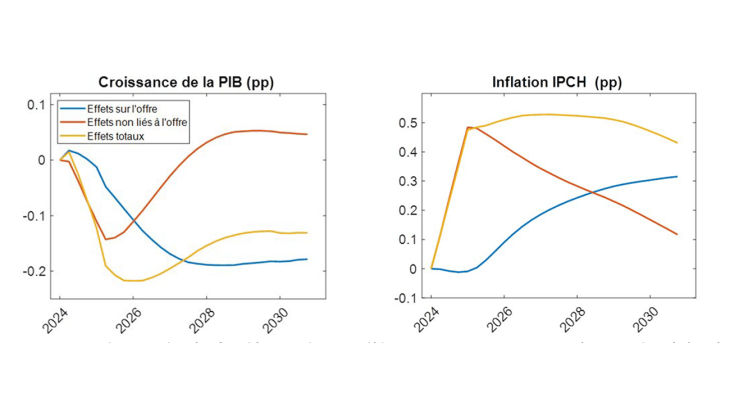 Réaction du PIB et de l’inflation au choc de taxe carbone Fit-for-55 jusqu'en 2031