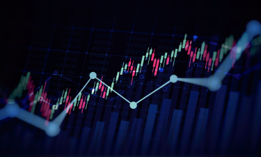 shutterstock_2688114497