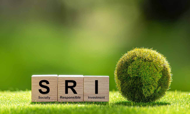 lettres SRI à coté d'une mappemonde en gazon sur de la pelouse et fond de feuillage flou